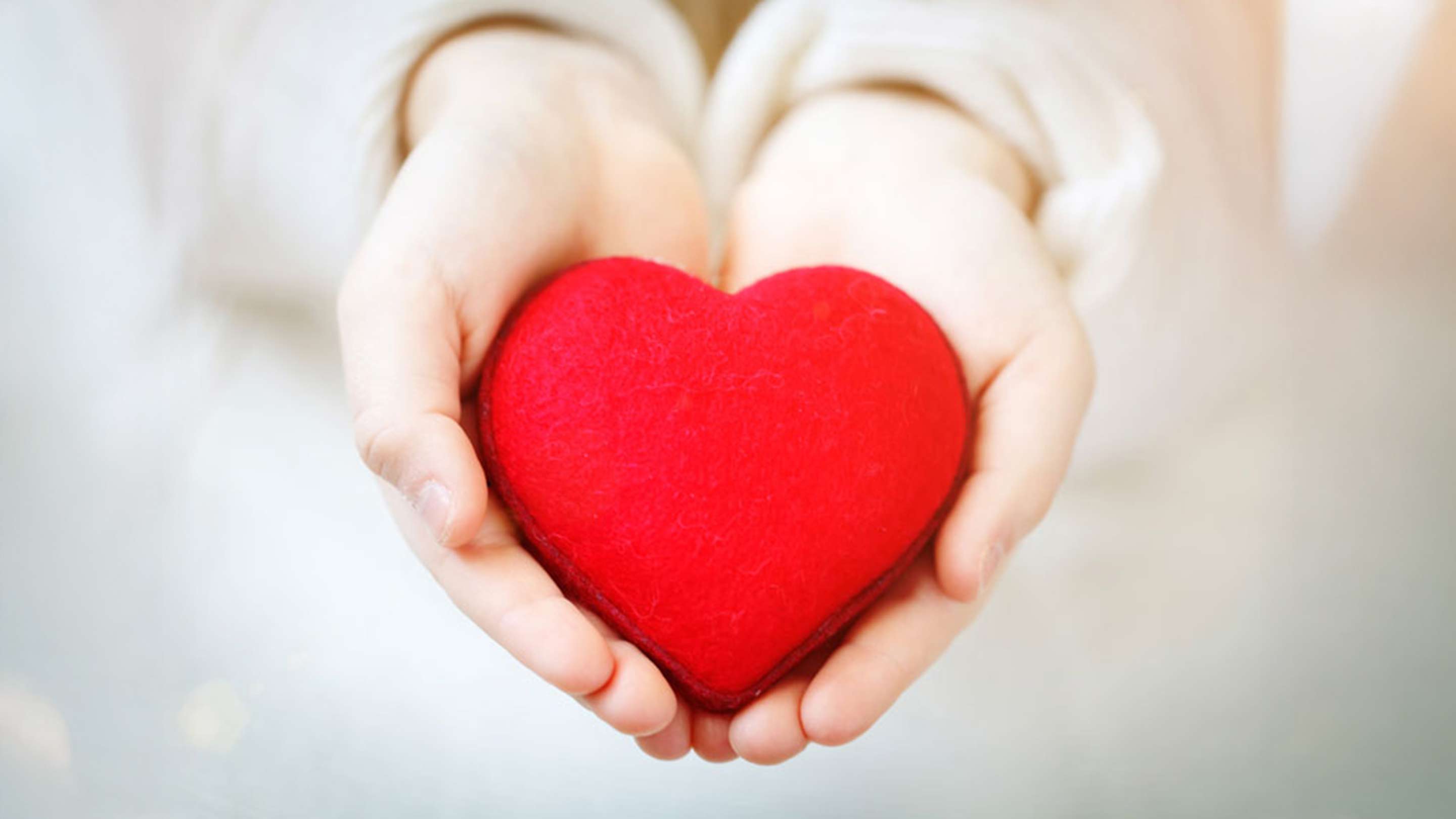 Hands gently holding a toy heart.