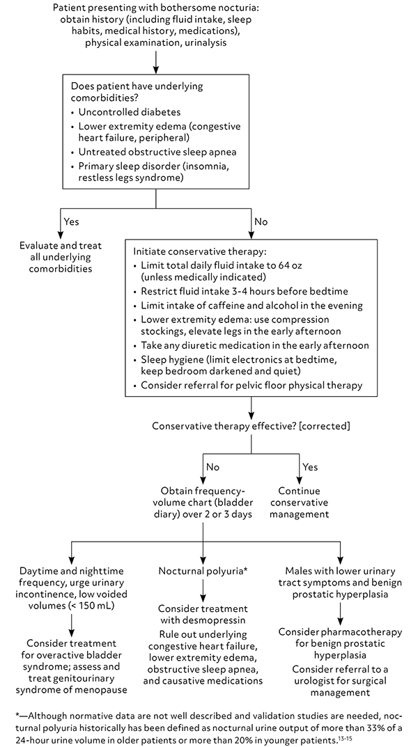 Nokturia Nocturia: Evaluation and Management | AFP