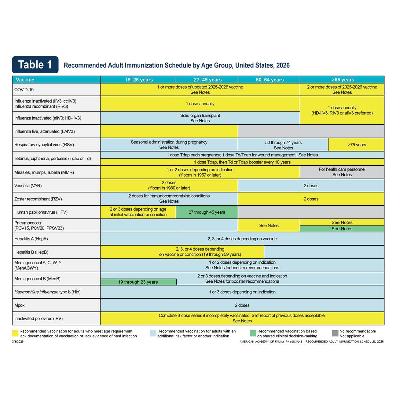 An excel spreadsheet of an immunization schedule for adults by age.