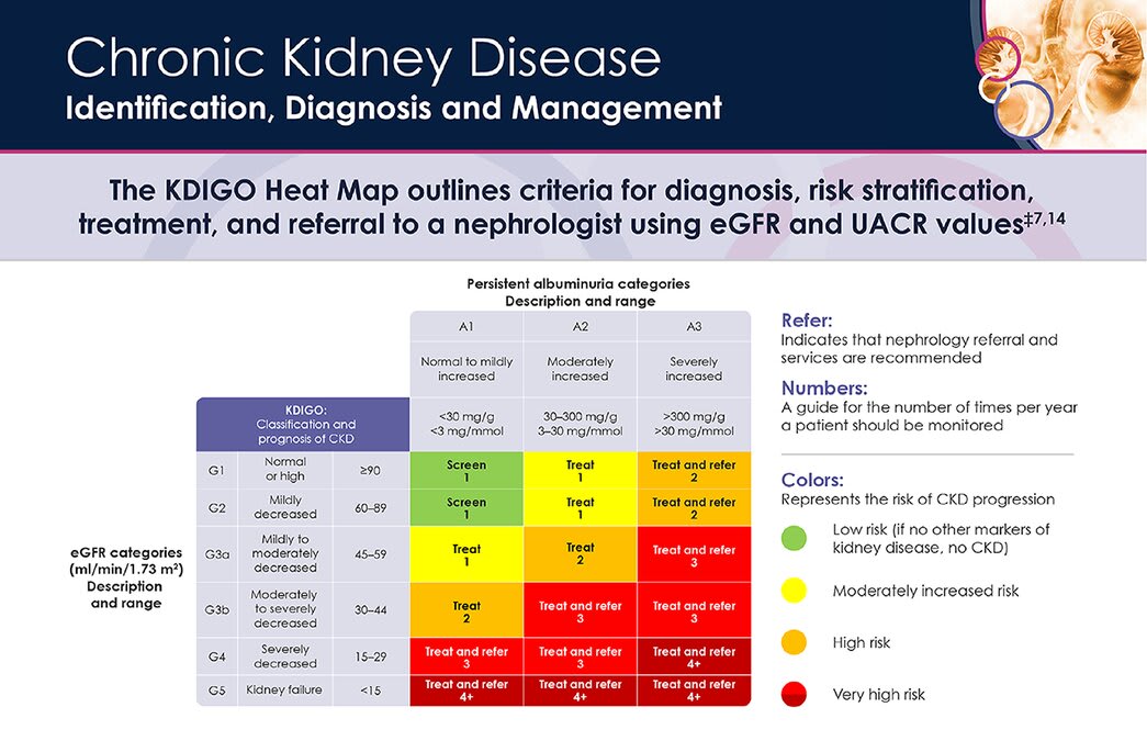 CKD identification, diagnosis and management | AAFP