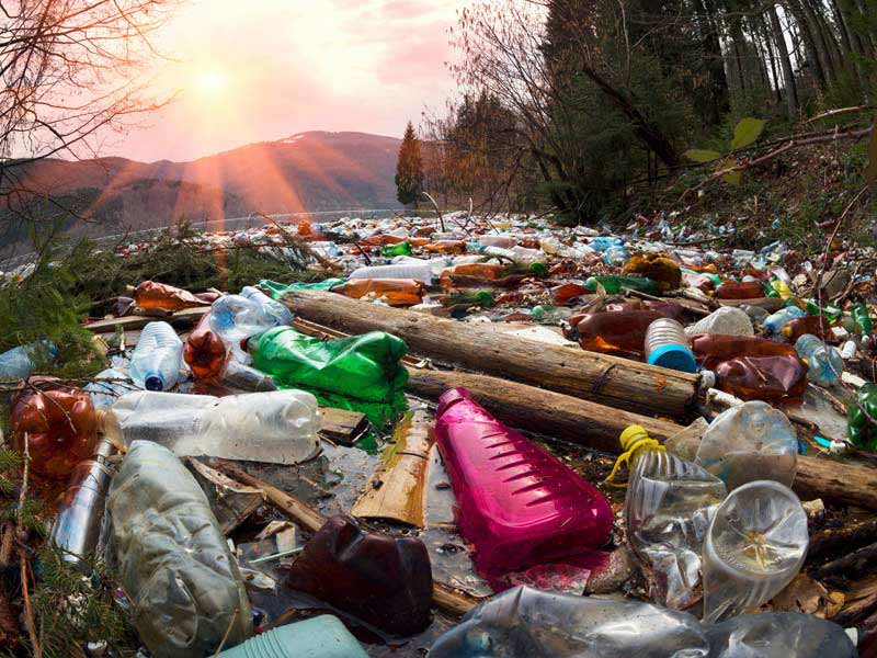 New Agency Aims to Protect Health Through Environmental Action | AAFP