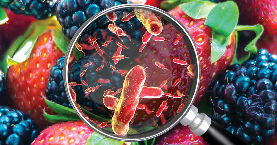 Foodborne Illness: Diagnosis and Management | AFP